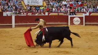 Juan del Álamo en Cuéllar