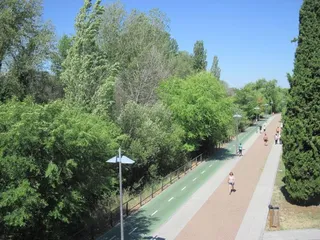 37878032 2064960850498857 8508893756034908160 n