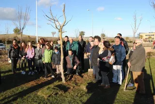 Puente Ladrillo comienza su tradicional Semana de la Solidaridad con la simbólica plantación de un nogal