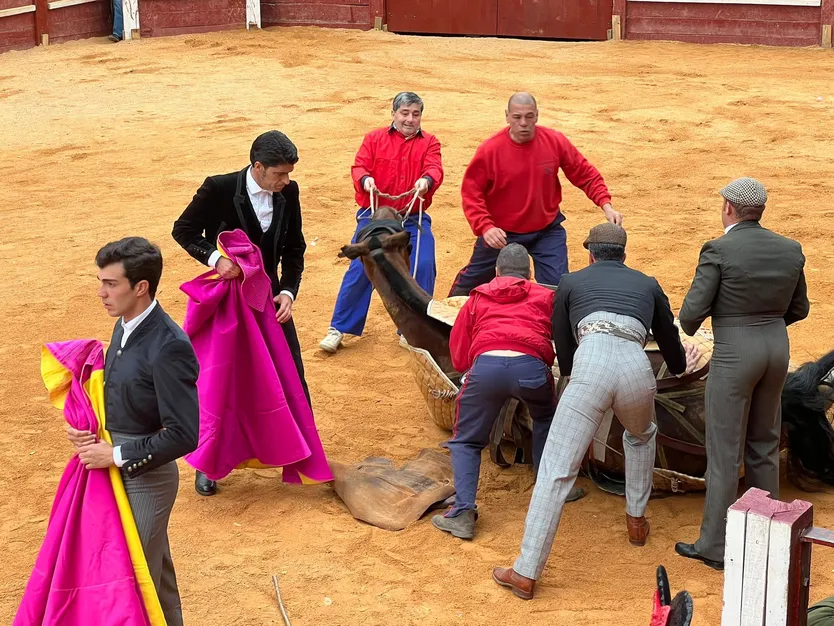 Festival Ciudad Rodrigo Carnaval