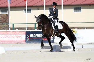 Norteño fs yeguada arroyomonte cdn copa ancce cecyl dressage doma clasica pre caballo español
