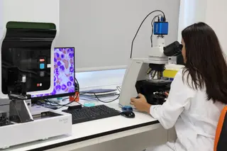 Análisis de células en microscopio con tecnología avanzada. Imagen de archivo | Junta CyL