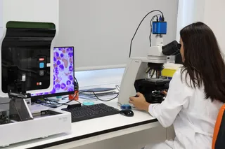 Análisis de células en microscopio con tecnología avanzada. Imagen de archivo | Junta CyL