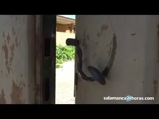 Los vecinos del chalet okupado en Villamayor se sienten inseguros