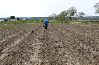Un agricultor en el campo.