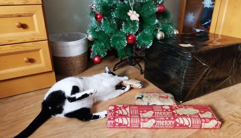 Cooper recibiendo su regalo de Reyes Magos