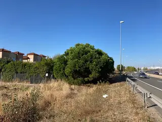 Ronda Sur SA-20