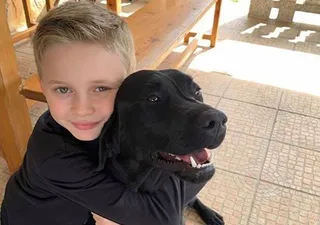 Perro y niño