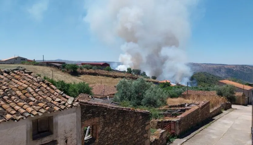 Incendio forestal junto a La Fregeneda. Foto El Rinconito