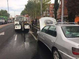 Coche calcinado en la Avenida de los Cipreses