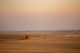 Tierras de cultivo de cereal en Tierra de Campos | Eduardo Margareto (ICAL)