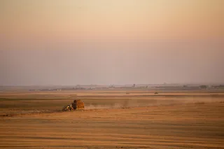 Tierras de cultivo de cereal en Tierra de Campos | Eduardo Margareto (ICAL)