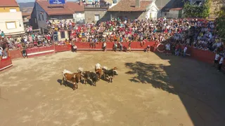 Fiestas Villarino de los Aires: Encierro viernes