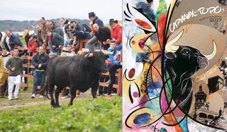 El concurso de carteles Carnaval del Toro 2018, de nuevo con votación popular