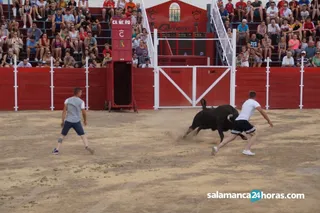 Festejo taurino en villoruela (40)