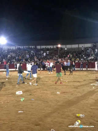 Toros Vitigudino Miércoles noche (8)