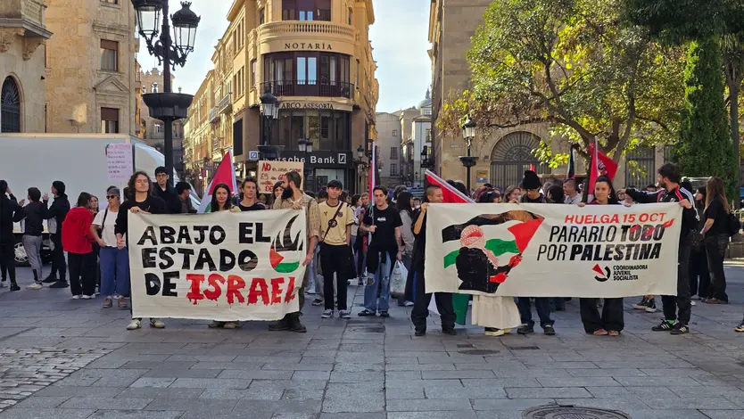 Manifestación por Palestina en Gran Vía