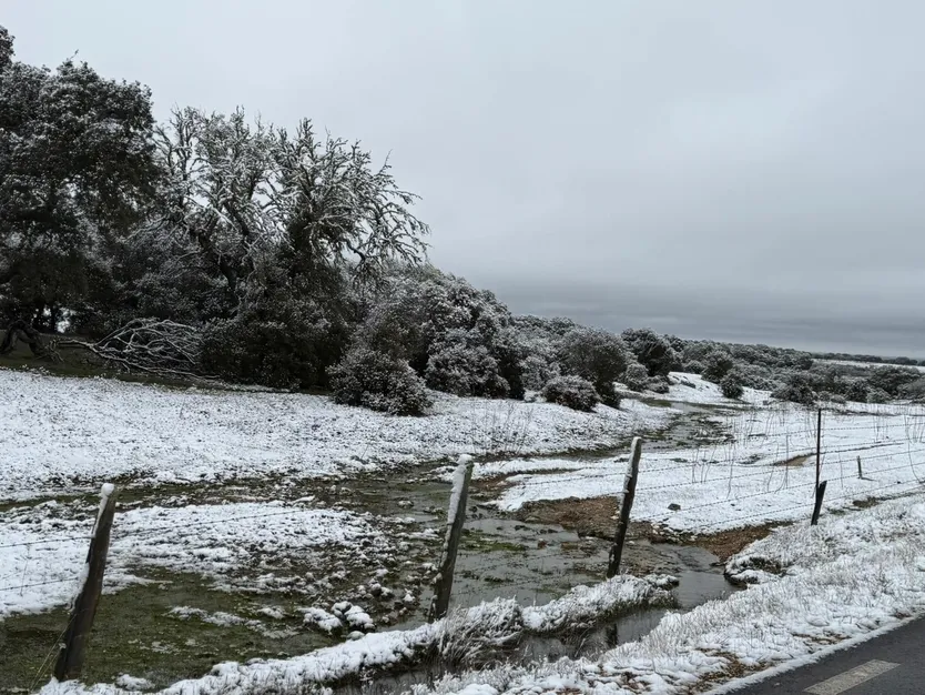 Nieve en Cuatro Calzadas, Pereña y Guijuelo este sábado