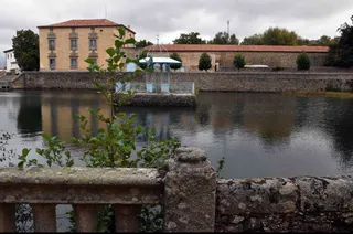 Foto: Plataforma para la Defensa de El Bosque de Béjar