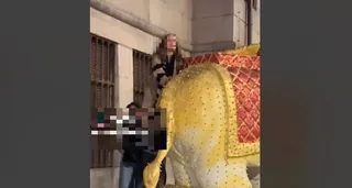 La joven subiéndose en uno de los 'Elefantes de Oriente' en la plaza del Mercado | Redes Sociales
