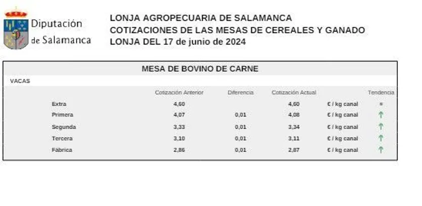 Mesa bovino de carne 17 de junio 2024 2