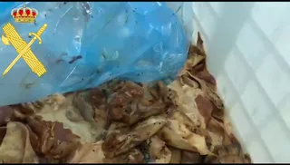 Hallan 9.000 kilos de carne en avanzado estado de putrefacción en una nave de Montejo