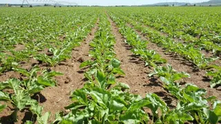 El Fondo Español de Garantía Agraria conoce el equipamiento de la Junta para anticipar los pagos de la PAC