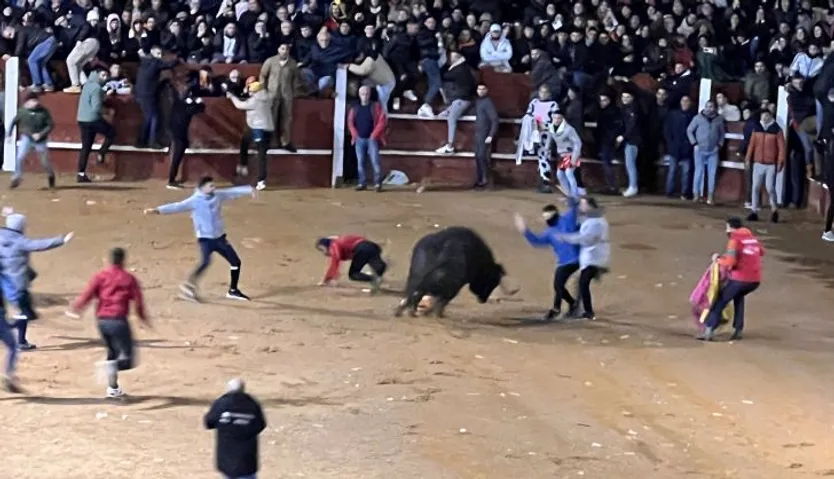 Caída de un joven mientras cortaba al toro en la capea nocturna del viernes de Carnaval en Ciudad Rodrigo. Foto S24H