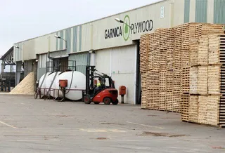 La empresa Garnica advierte de un freno en su crecimiento por la falta de chopos en la Comunidad