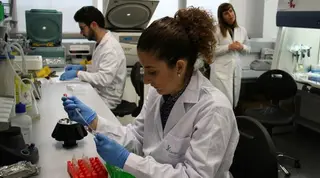 Más productividad y visibilidad científica universitaria pese a la escasez de recursos