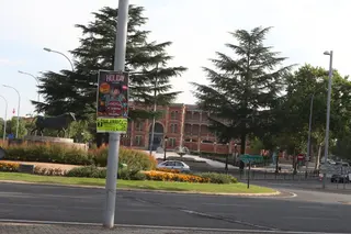 Asfaltado paseo de Torres Villarroel