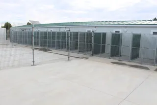 Nuevo Centro de Protección Animal del Ayuntamiento de Salamanca en la Finca La Salud (11)