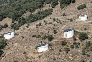 Los palomares, patrimonio en riesgo de desaparecer
