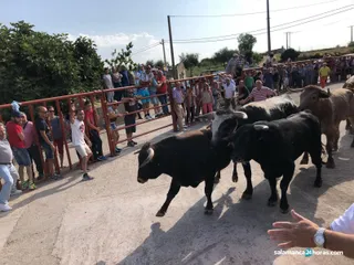 Pereña encierro domingo (6)