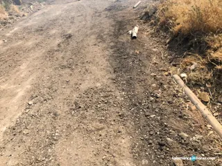 Incendio en Tejares (6)
