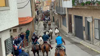Encierro de Rollanejo en Aldeadávila de la Ribera | Salamanca24horas