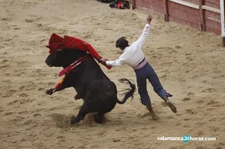 Novillada lunes carnaval toro (24)