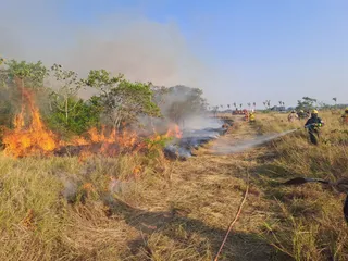 GALERÍA | Apagar incendios forestales por todo el mundo de forma altruista, la misión de un salmantino