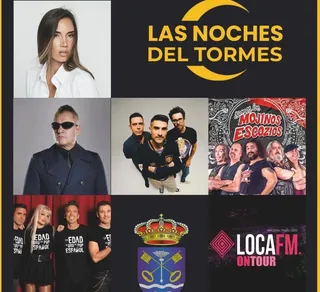 Cartel de la Noches del Tormes