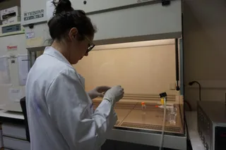 Investigacion (7)