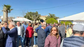 Día del Almendro en La fregeneda | S24H