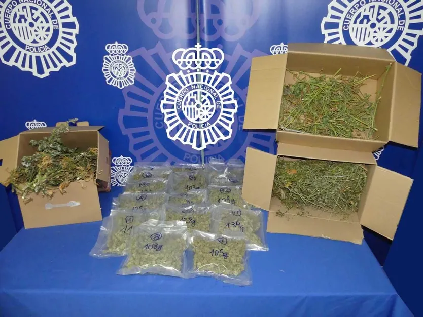 Marihuana incautada 3 de junio