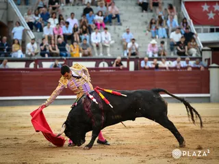 El novillero Pérez Pinto en Las Ventas con Alcotán, el novillo de su presentación | Plaza 1 | @LasVentas
