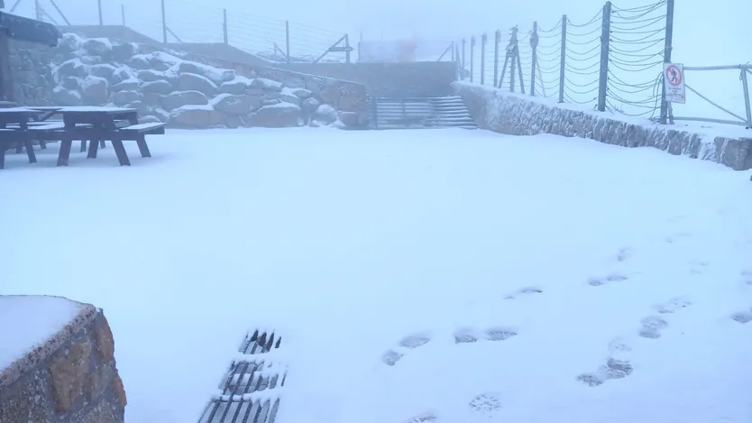 Nieve en La Covatilla, 2 diciembre 2025 (1)