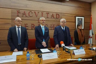 Juan José González Rivas presidente tribunal constitucional (11)
