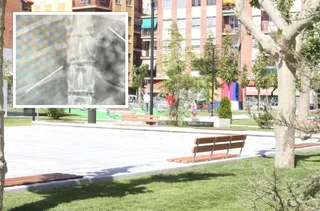 Parque de Garrido junto a la radiografía del perro dañado
