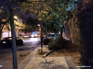 Puente Ladrillo Pedro Vidal accidente 13