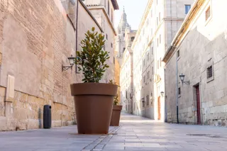 Maceteros en la calle Compañía. Foto: PSOE de Salamanca