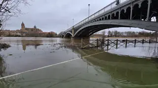 Crecida del rio Tormes a su paso por el Puente Enrique Esteban, 11 de febrero