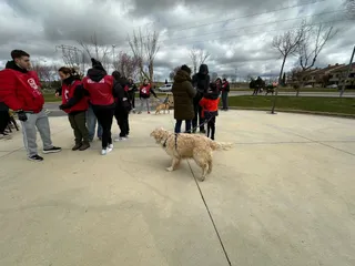 Canicross Fundación Luna Villamayor (1)